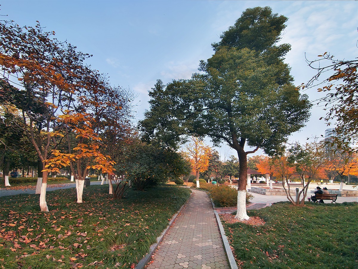 武汉和平公园3