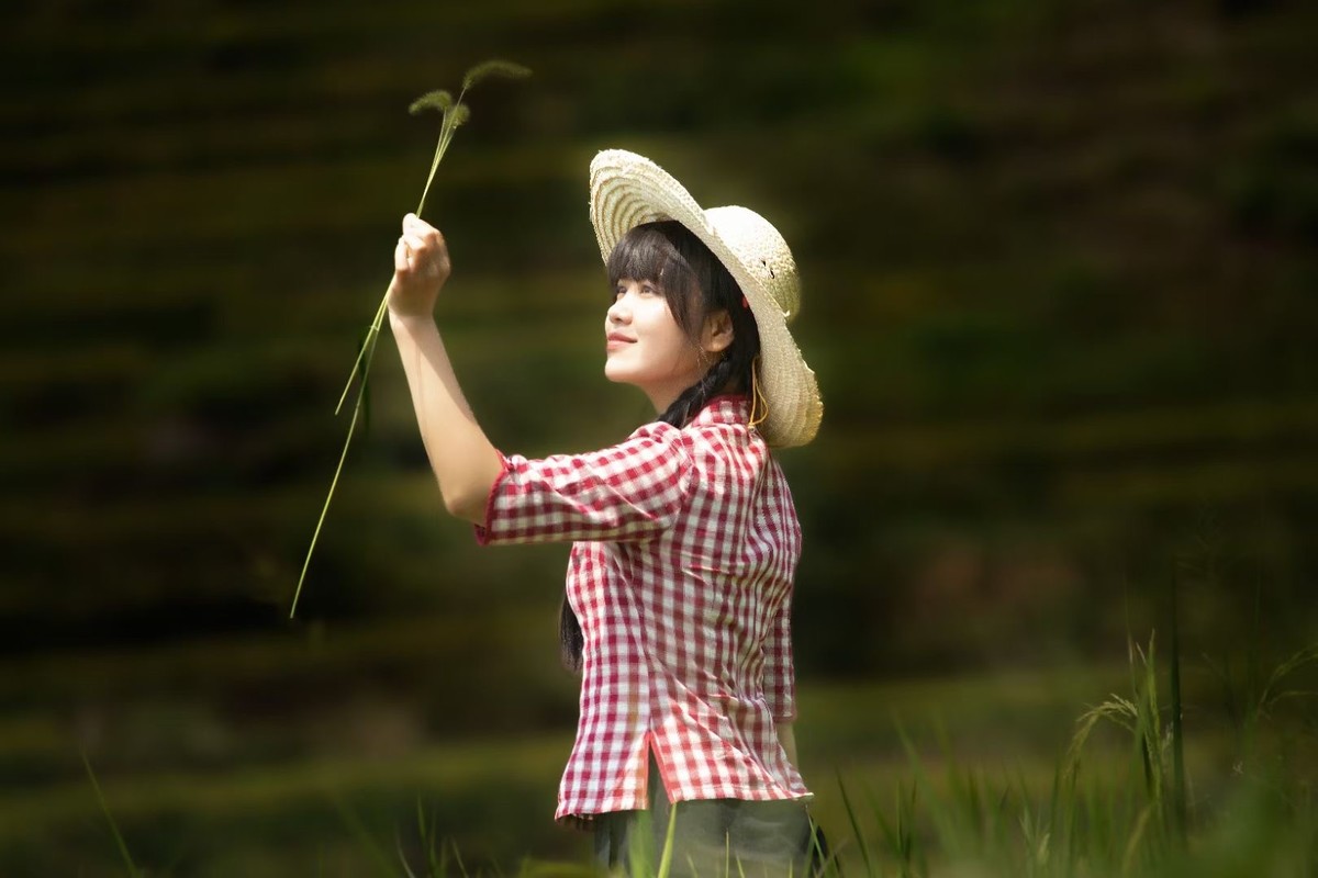 田间村姑