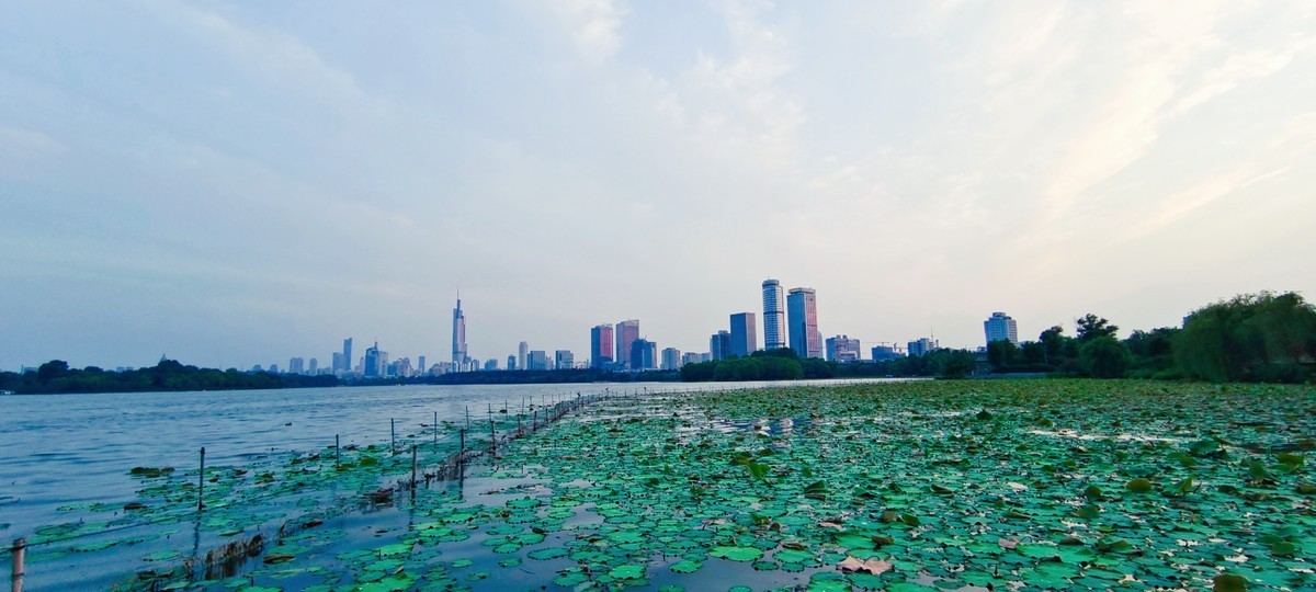景观 ~