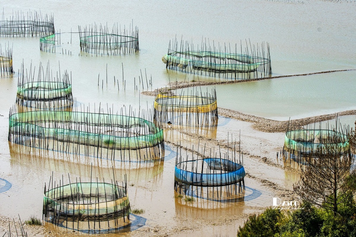 海中的栅栏与甲骨文（3）