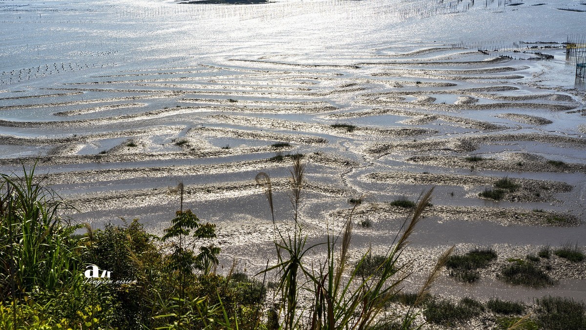海中的栅栏与甲骨文（3）
