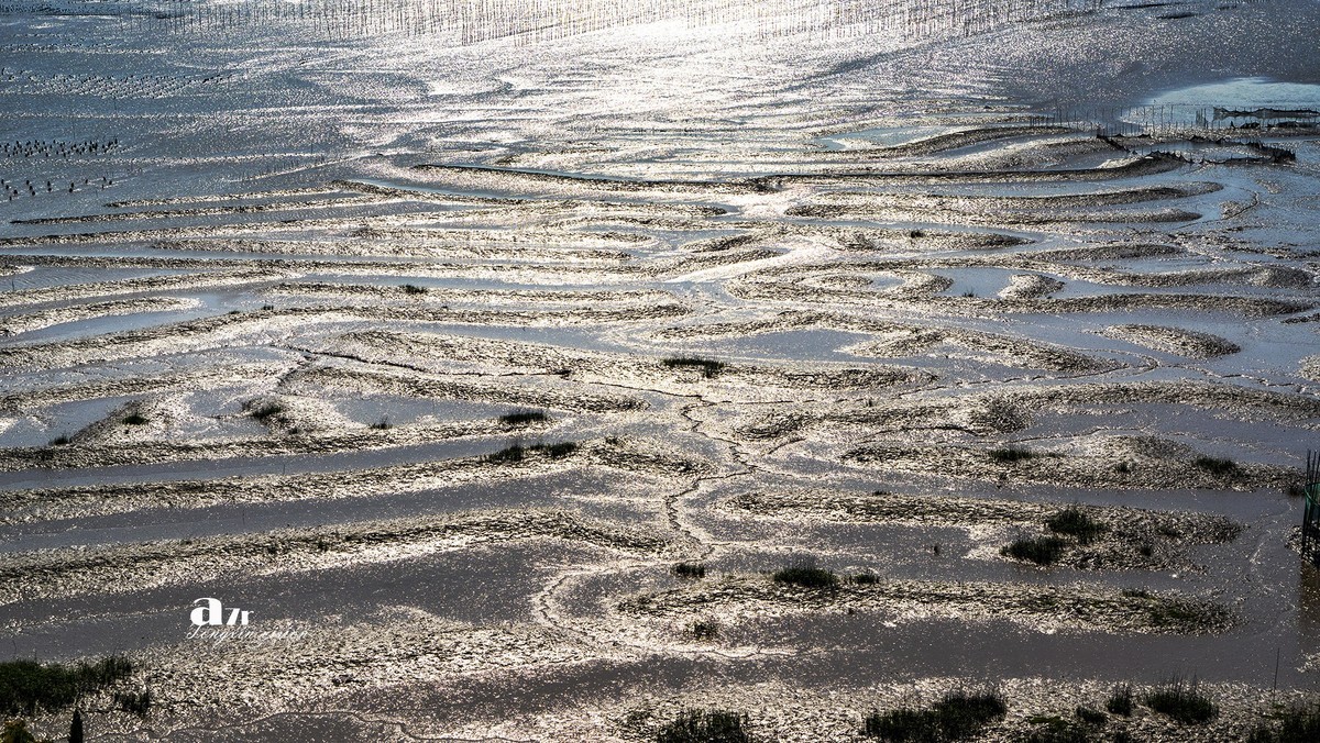 海中的栅栏与甲骨文（3）