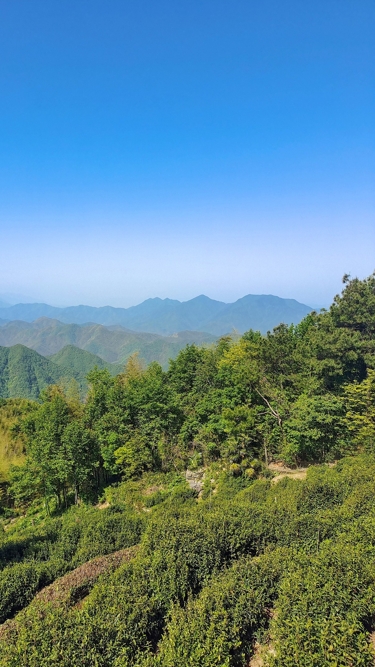 安顶山二【富阳半日游】