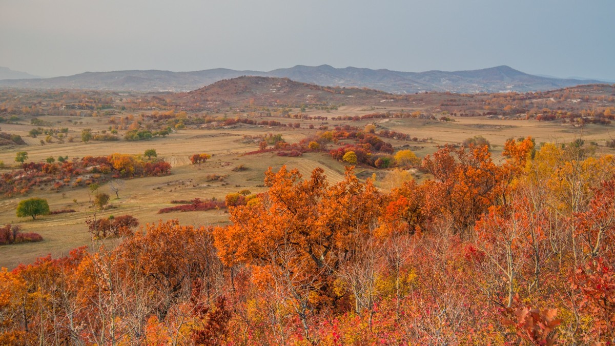 克什克腾旗大萨林和、北台子、杏花沟（三）
