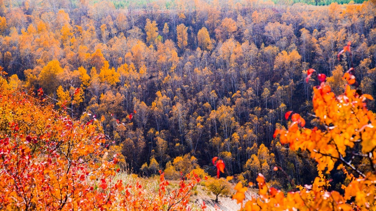 克什克腾旗大萨林和、北台子、杏花沟（三）