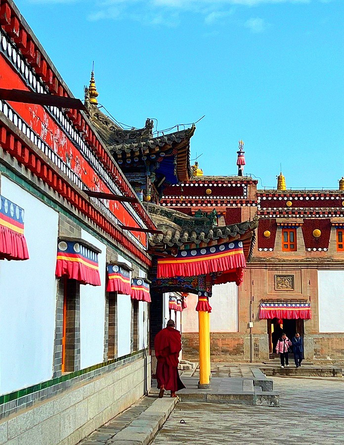 《不老松：纪实摄影》【山河锦绣】青海塔尔寺！ (5)