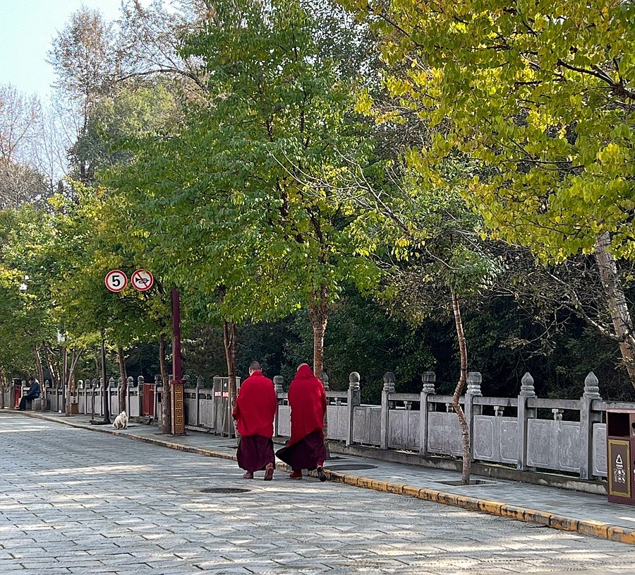 《不老松：纪实摄影》【山河锦绣】青海塔尔寺！ (5)