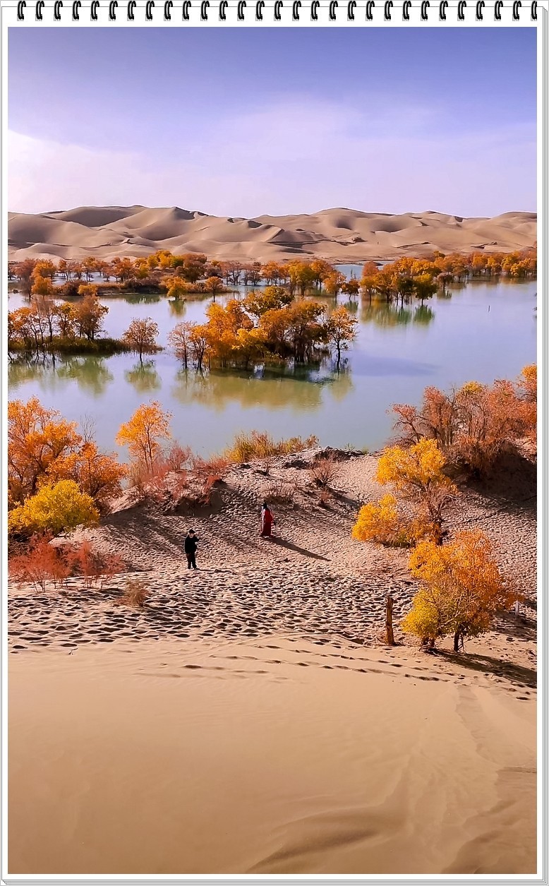 2025年- 葫芦岛水韵胡杨风光抓拍-0031