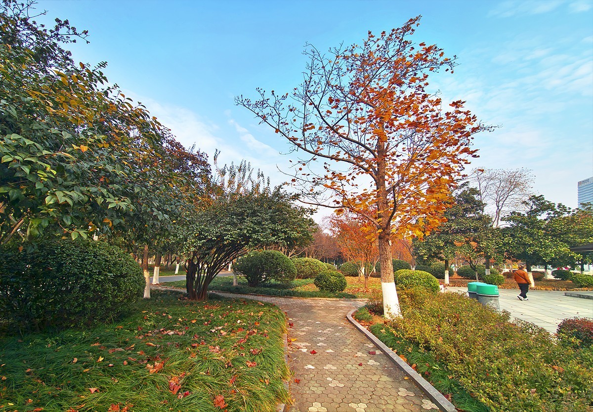 武汉和平公园3