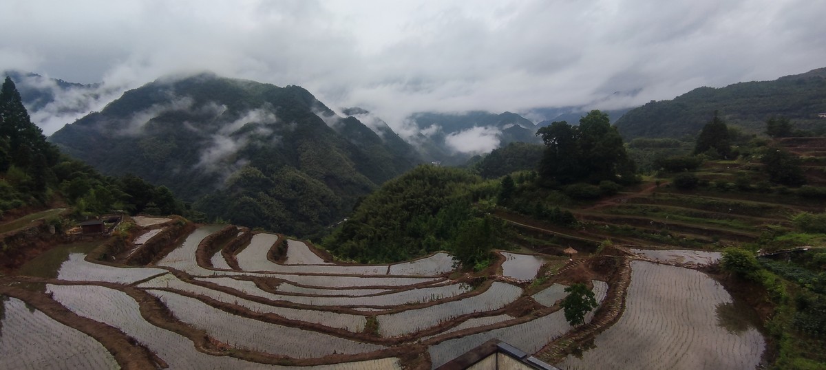 指南山随手拍 ------- 6