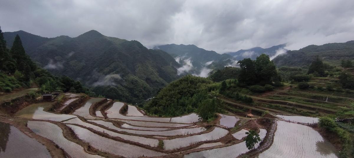 指南山随手拍 ------- 6