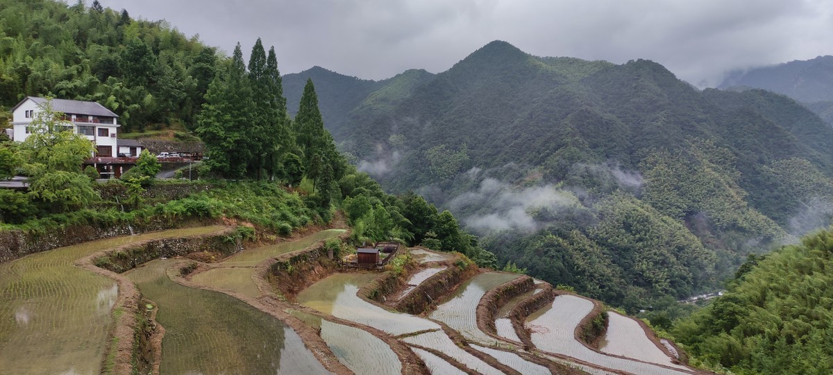 指南山随手拍 ------- 6