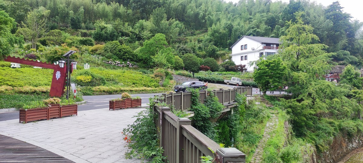 指南山随手拍 ------- 6