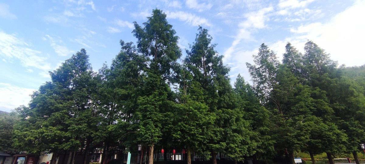 指南山随手拍 ------- 6