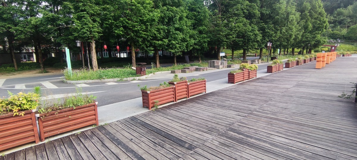 指南山随手拍 ------- 6