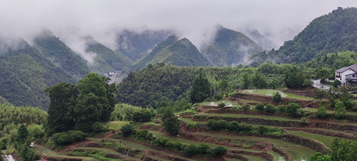 指南山随手拍 ------- 6