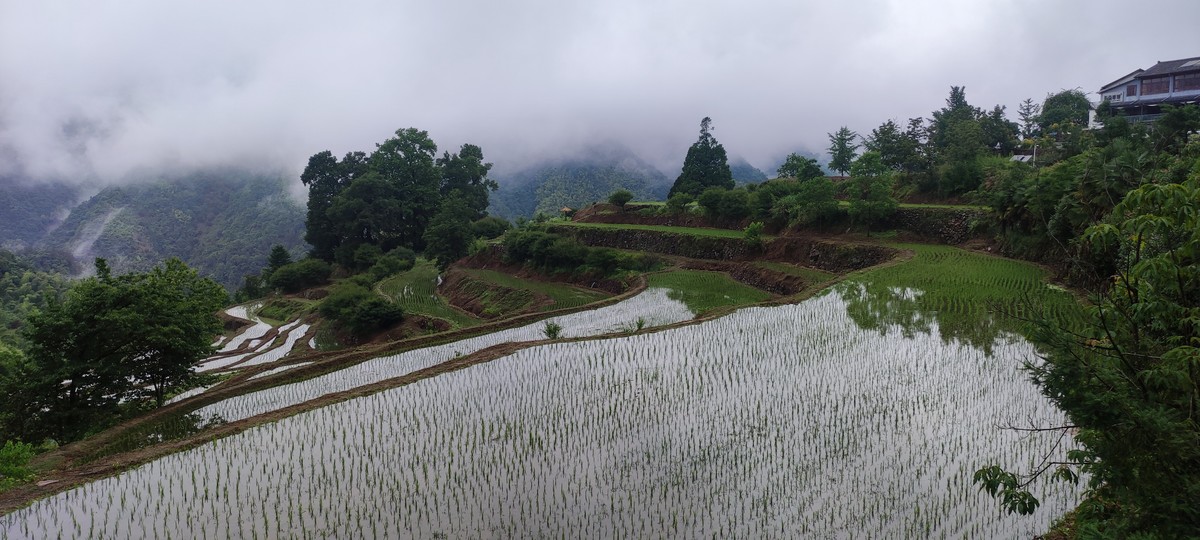 指南山随手拍 ------- 6