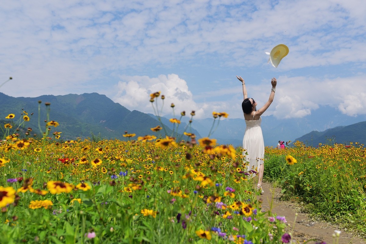 俄木塘花海 （2）