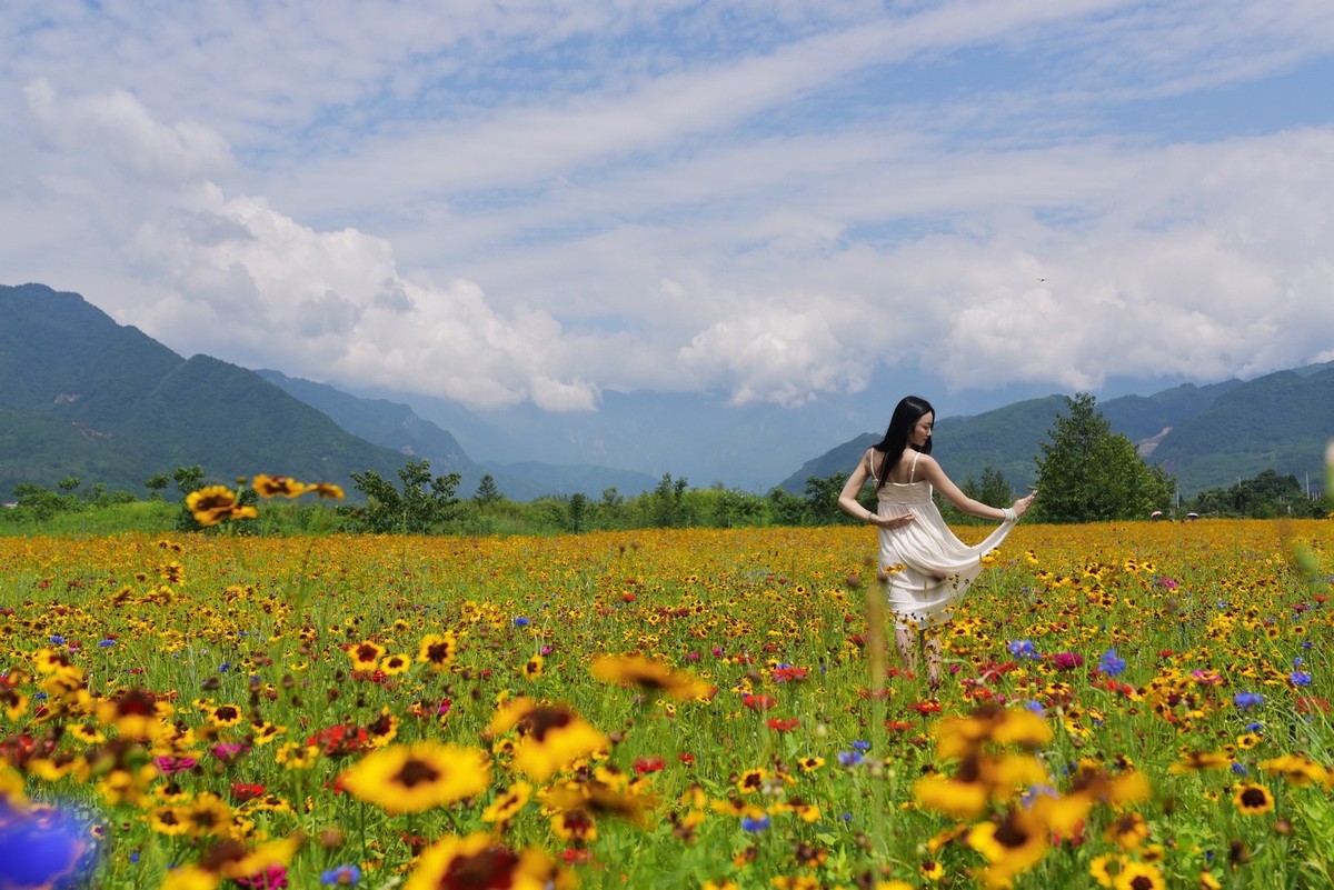俄木塘花海 （2）