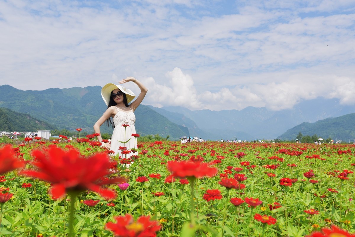 俄木塘花海 （2）