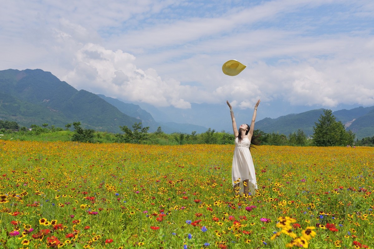 俄木塘花海 （2）