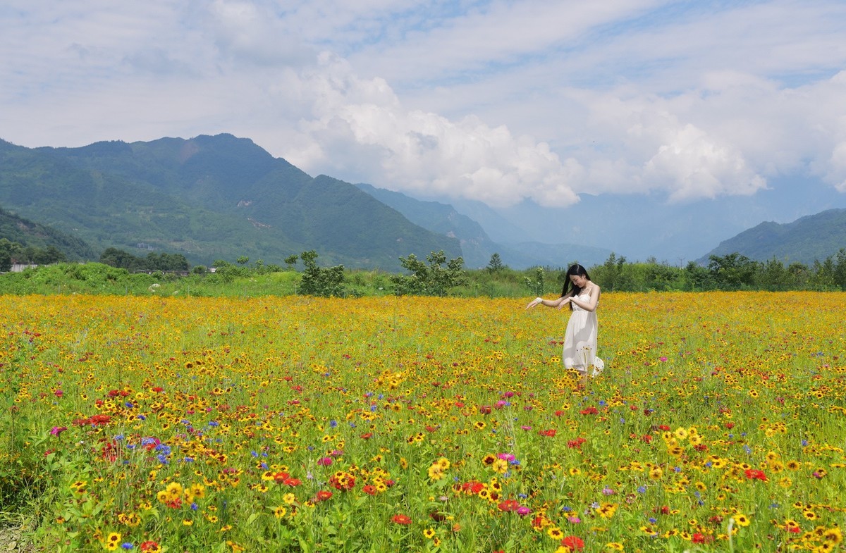 俄木塘花海 （2）