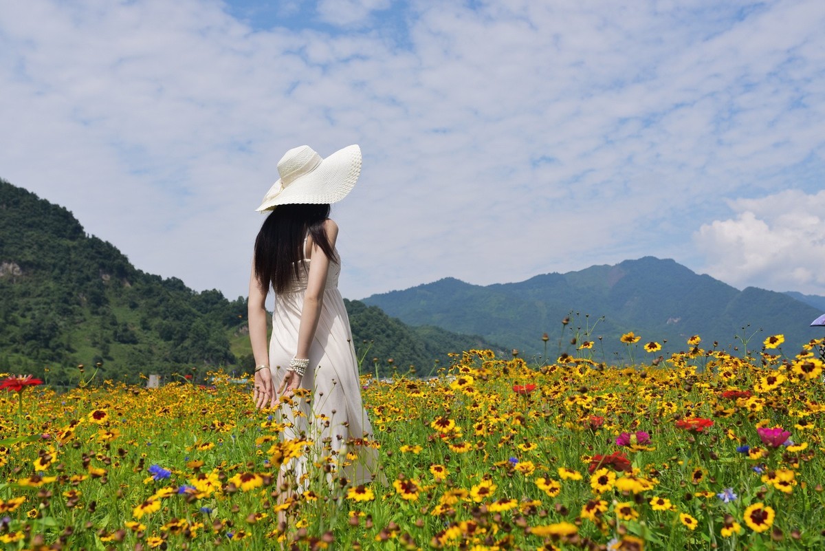 俄木塘花海 （2）