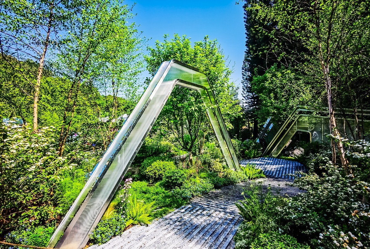 深圳仙湖植物园掠影