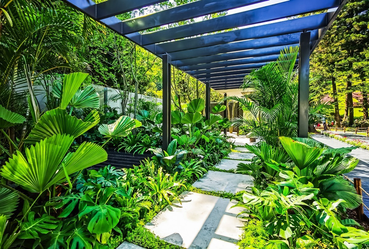 深圳仙湖植物园掠影