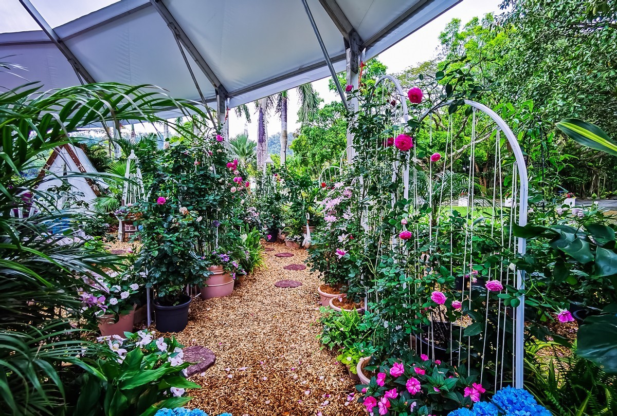 深圳仙湖植物园掠影