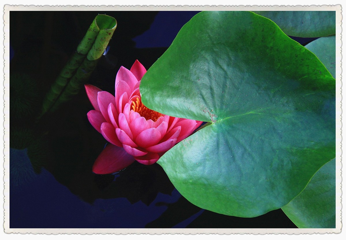 霓裳睡染水云间