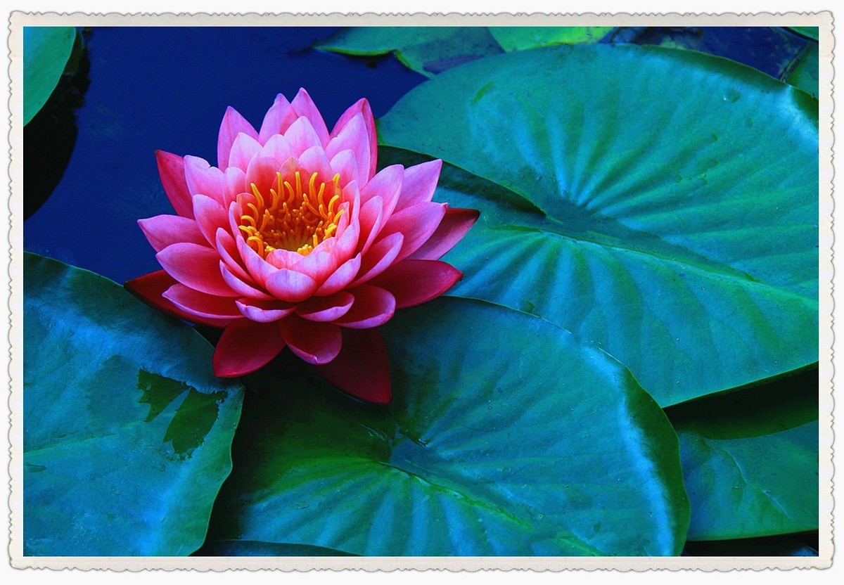 霓裳睡染水云间