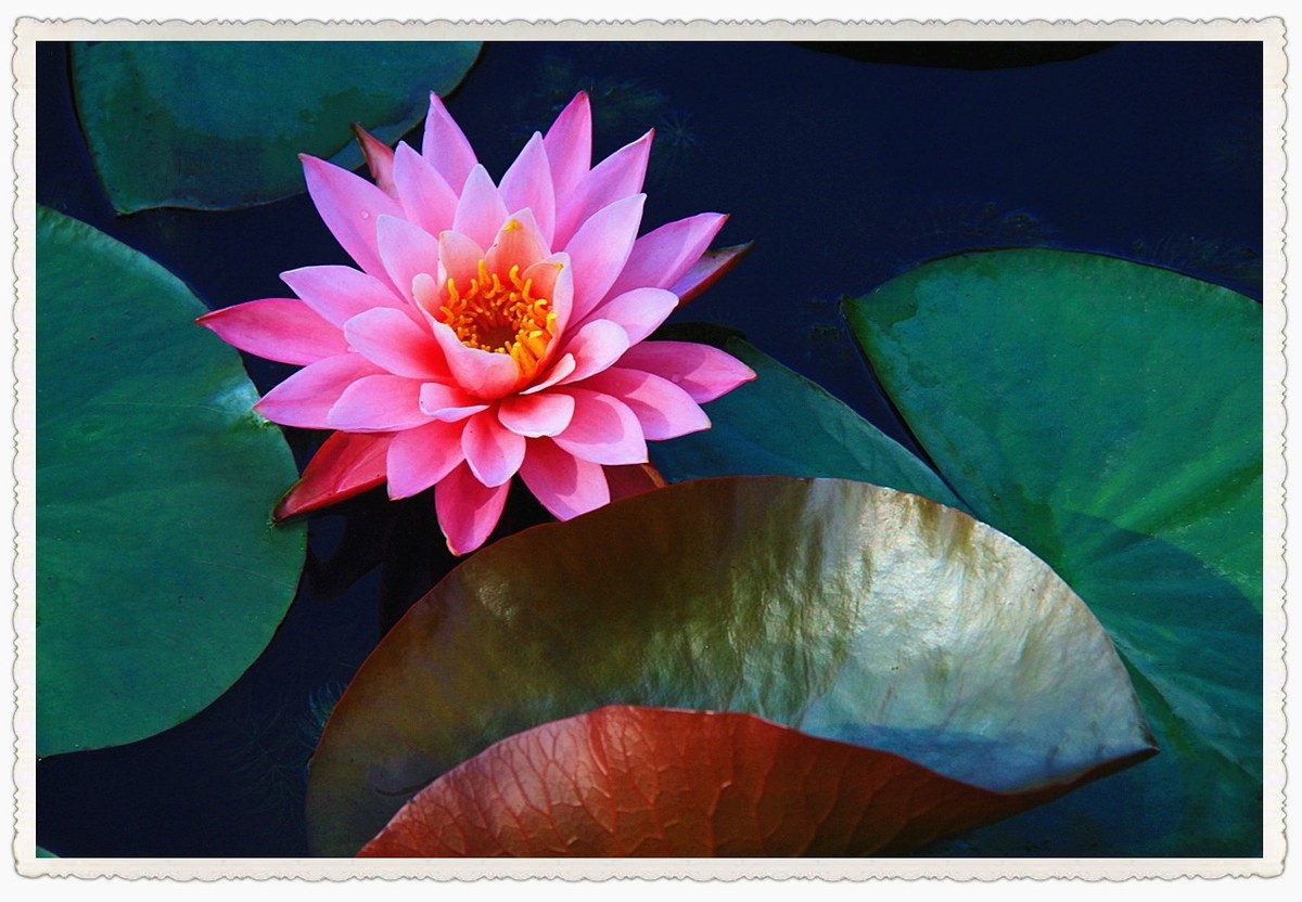 霓裳睡染水云间