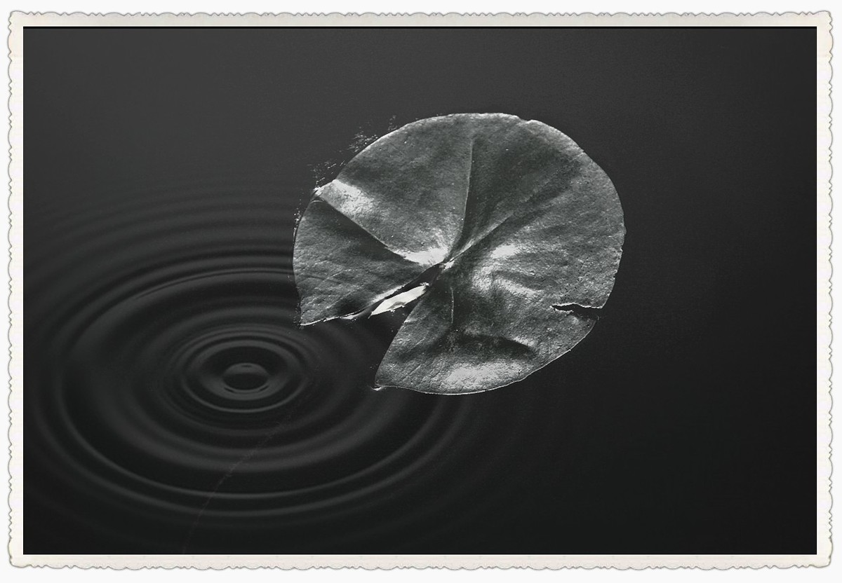 霓裳睡染水云间