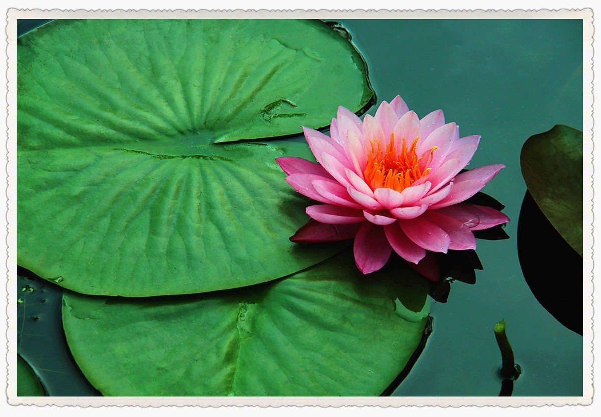 霓裳睡染水云间