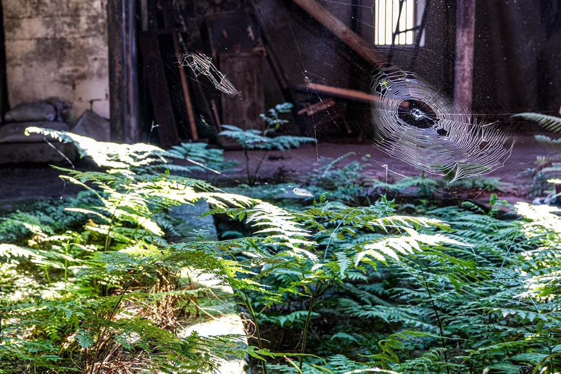 浙南--遂昌独山村【3】