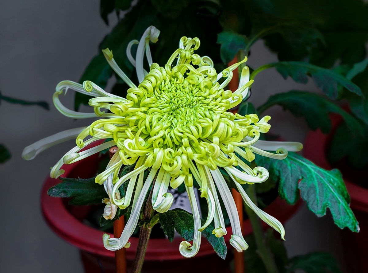 秋日中山公园20241105 《30》