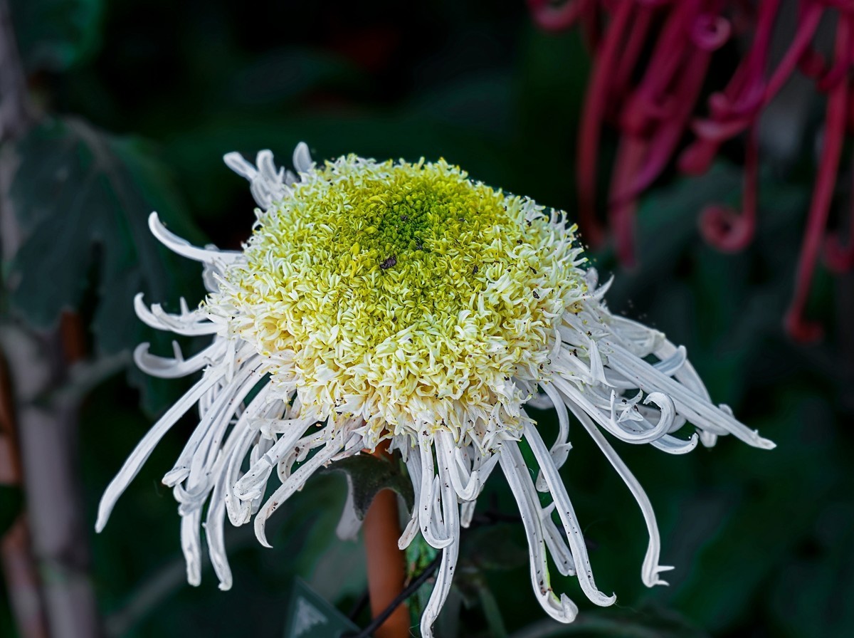 秋日中山公园20241105 《30》