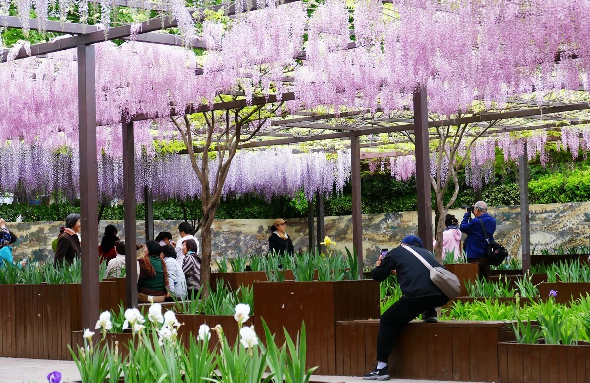 玉渊潭公园【三】