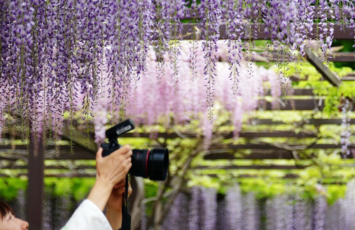 玉渊潭公园【三】