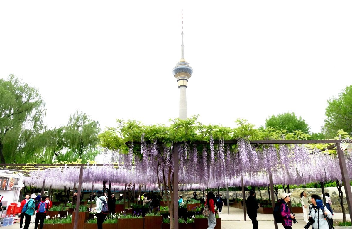 玉渊潭公园【三】