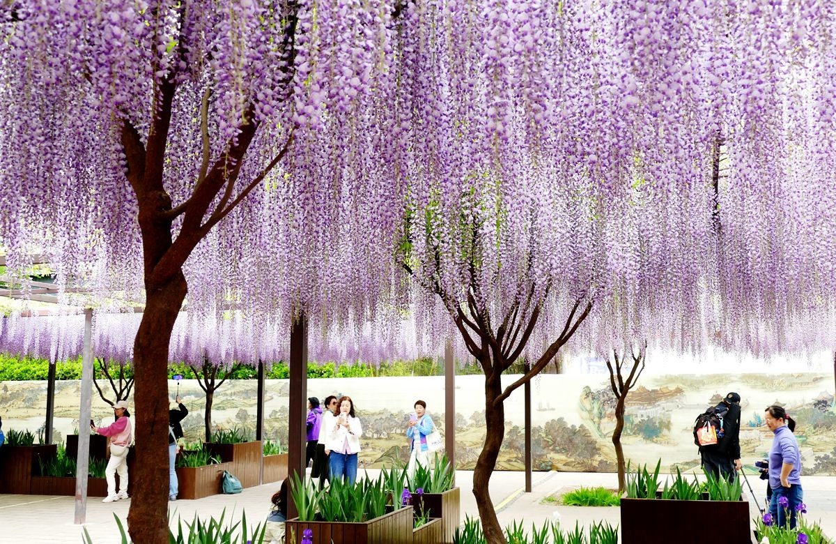 玉渊潭公园【三】