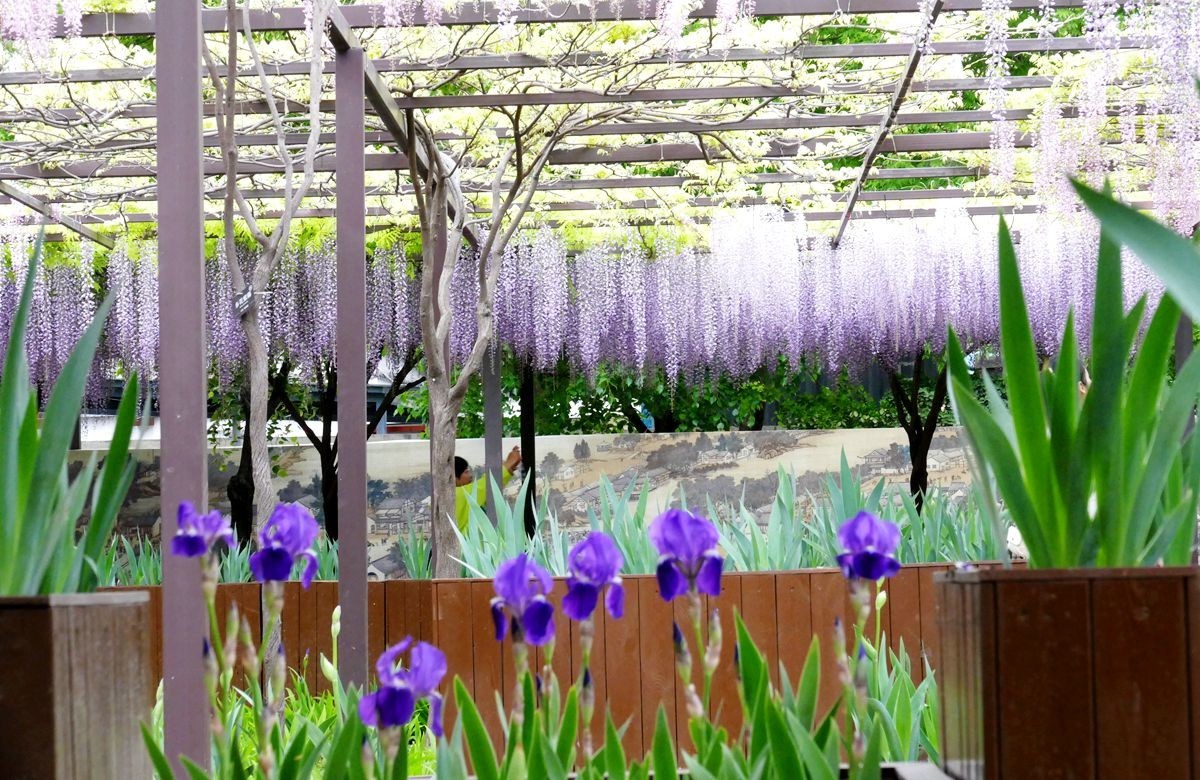 玉渊潭公园【三】