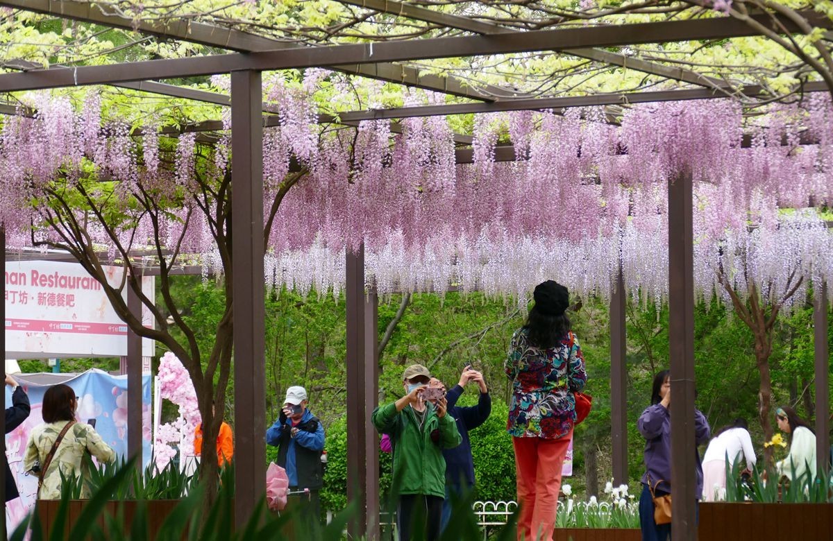 玉渊潭公园【三】