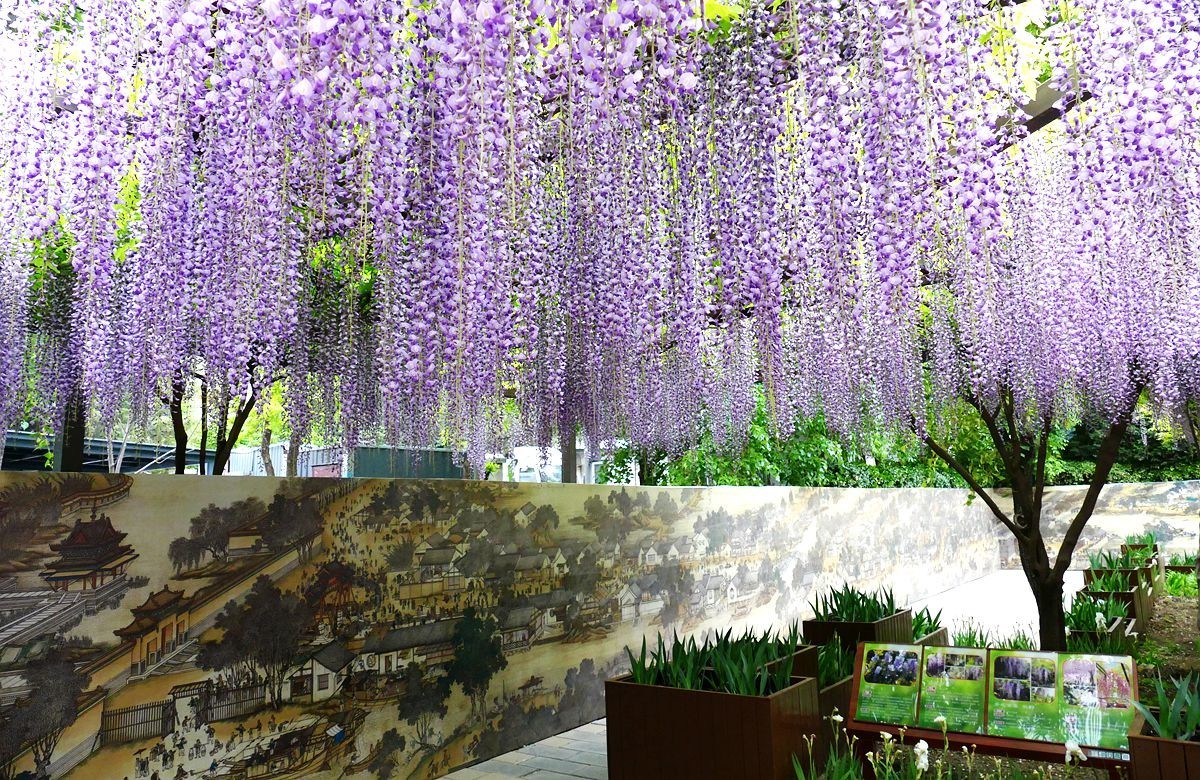 玉渊潭公园【三】