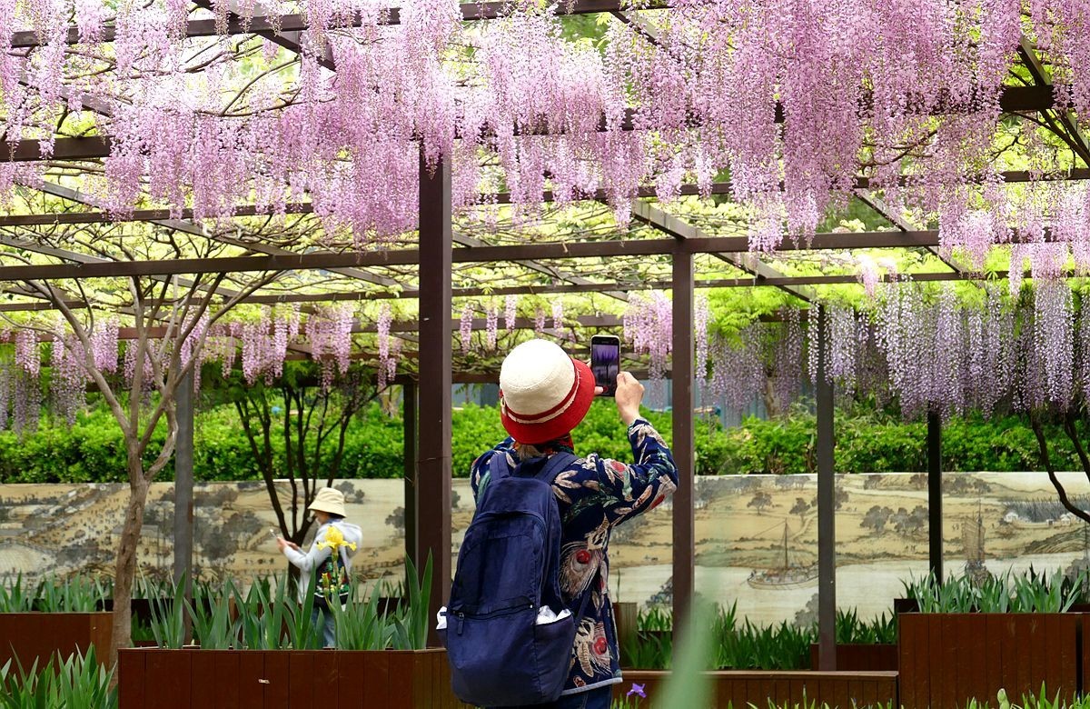 玉渊潭公园【三】