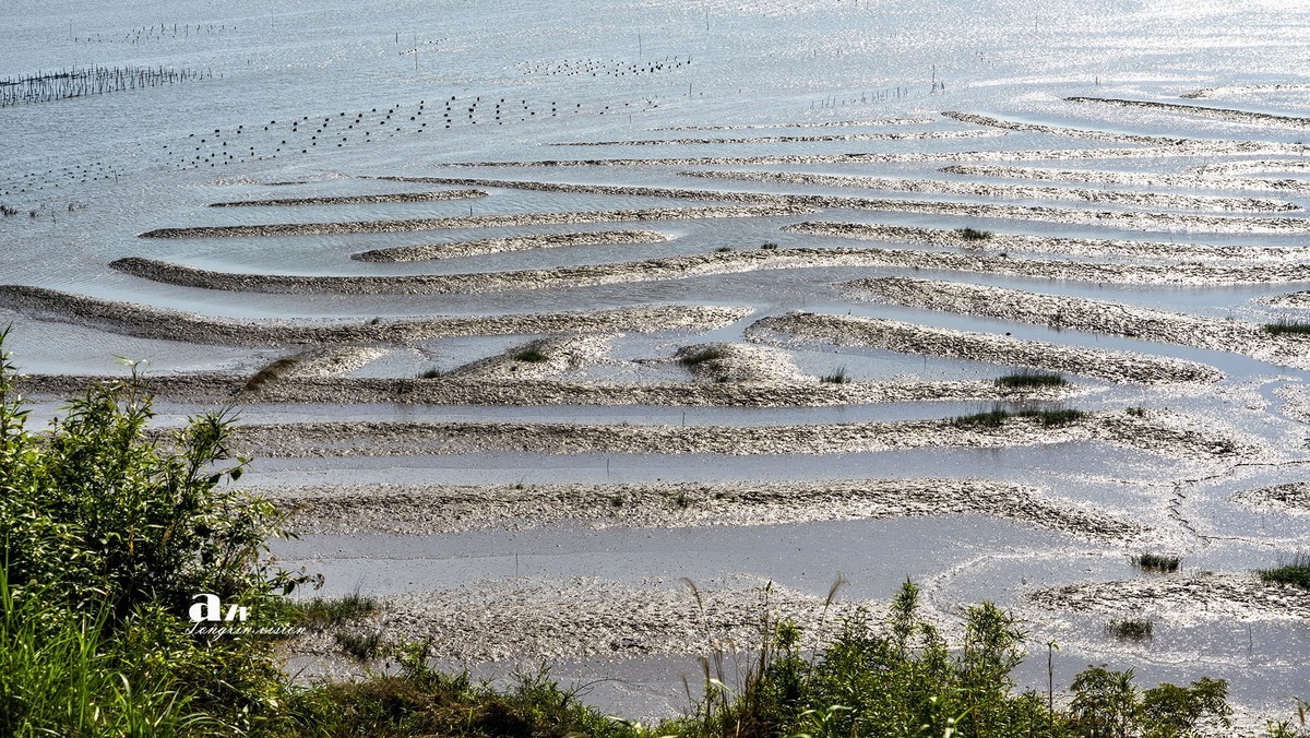 海中的栅栏与甲骨文（3）