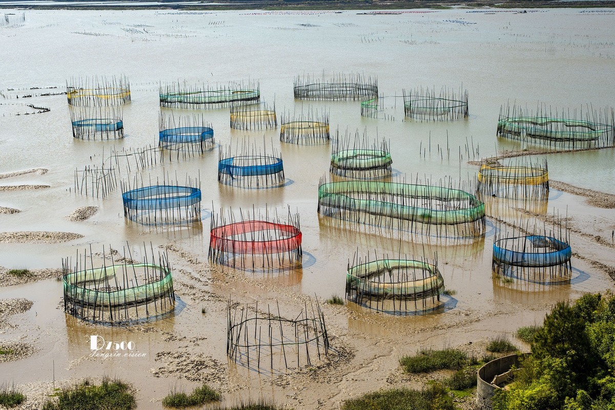 海中的栅栏与甲骨文（3）