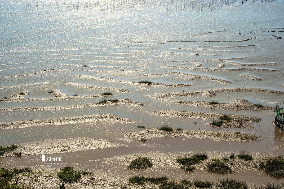 海中的栅栏与甲骨文（3）