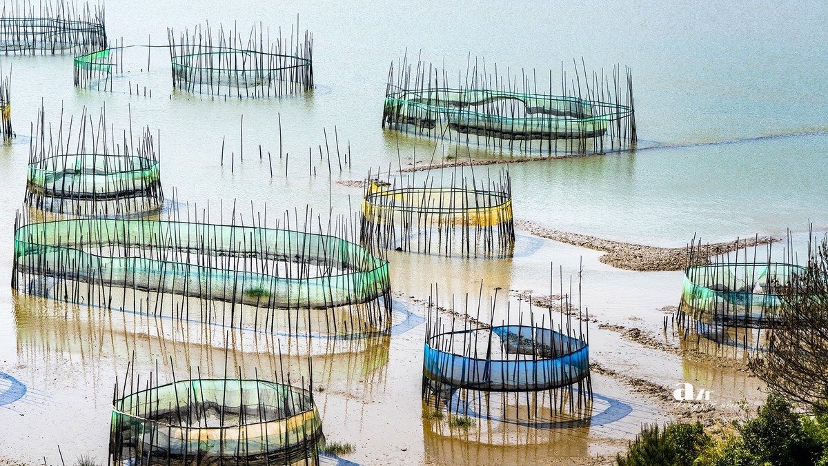 海中的栅栏与甲骨文（3）